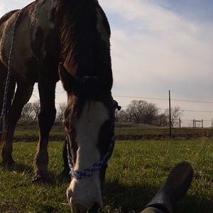 Meet your Posher, Tessa